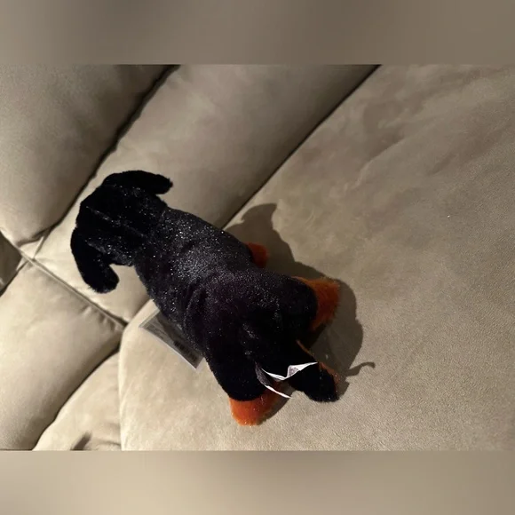 Webkinz Dachshund with sealed code - Picture 3 of 7